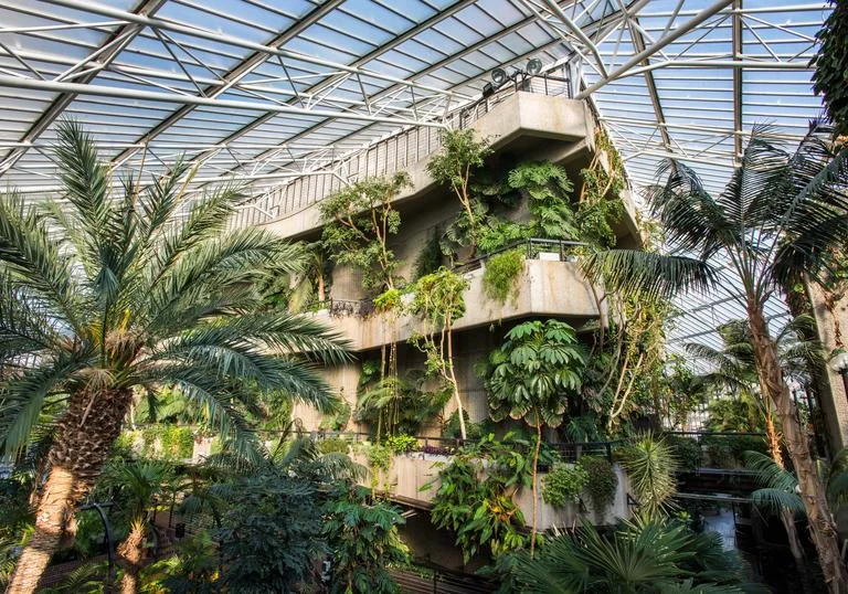 Barbican Conservatory