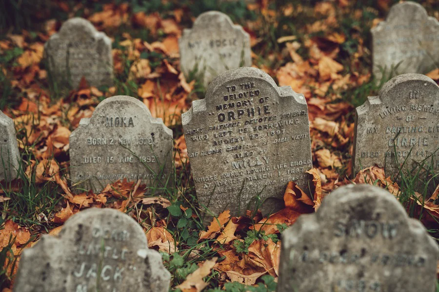 Pet Cemetery in Hyde Park