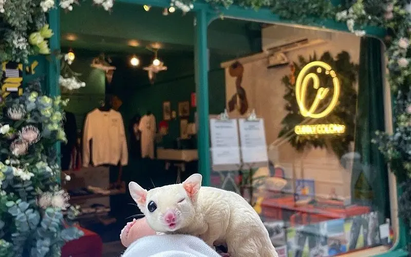 Holding a white sugar glider at Cuddly Colony, a unique Thing to Do in Brighton