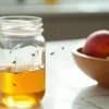 Fruit flies attracted to Mason jar with yellow liquid next to bowl of fruit