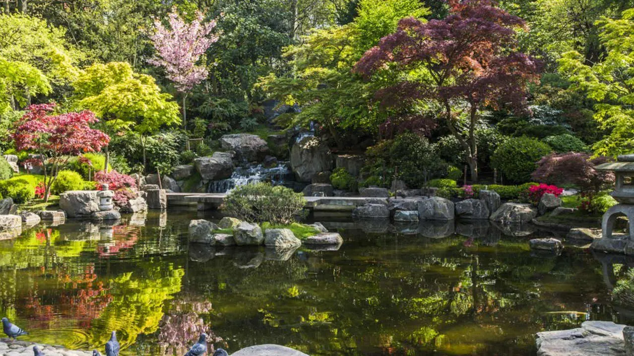 Tranquil Kyoto Garden in Holland Park, a peaceful Japanese garden within one of London's Parks in London