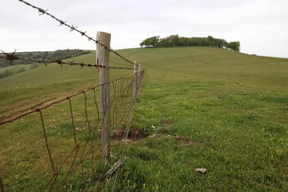 View through a barbed wire fence towards the distant hilltop clump of trees marking Chanctonbury Ring on the South Downs