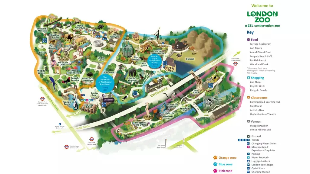 Colourful visitor map of London Zoo, a popular Thing to Do in London with Kids, showing zones and enclosures