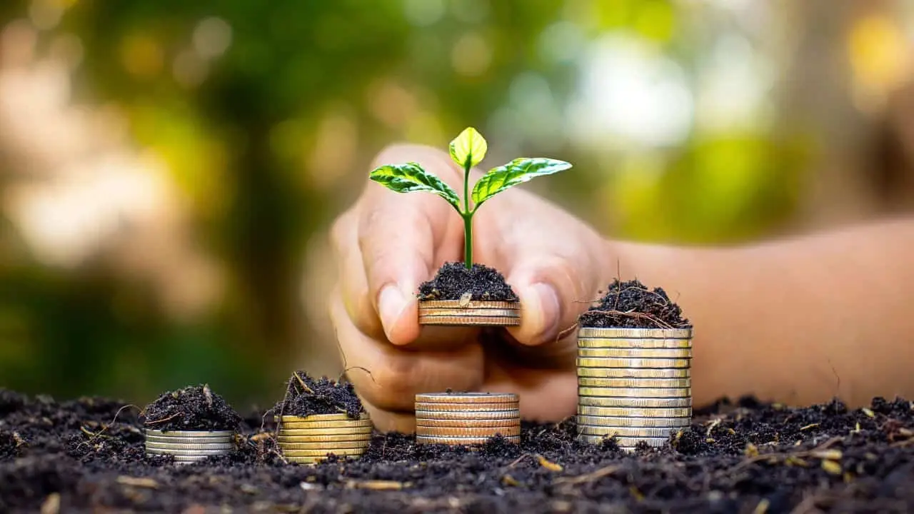 Hand holding a small plant seedling growing out of a stack of coins, symbolising green savings growth