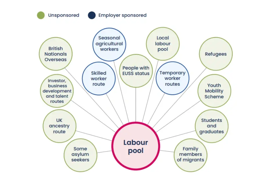 Diagram illustrating different UK visa routes (Skilled Worker, Student, etc.) contributing to the central "Labour pool"
