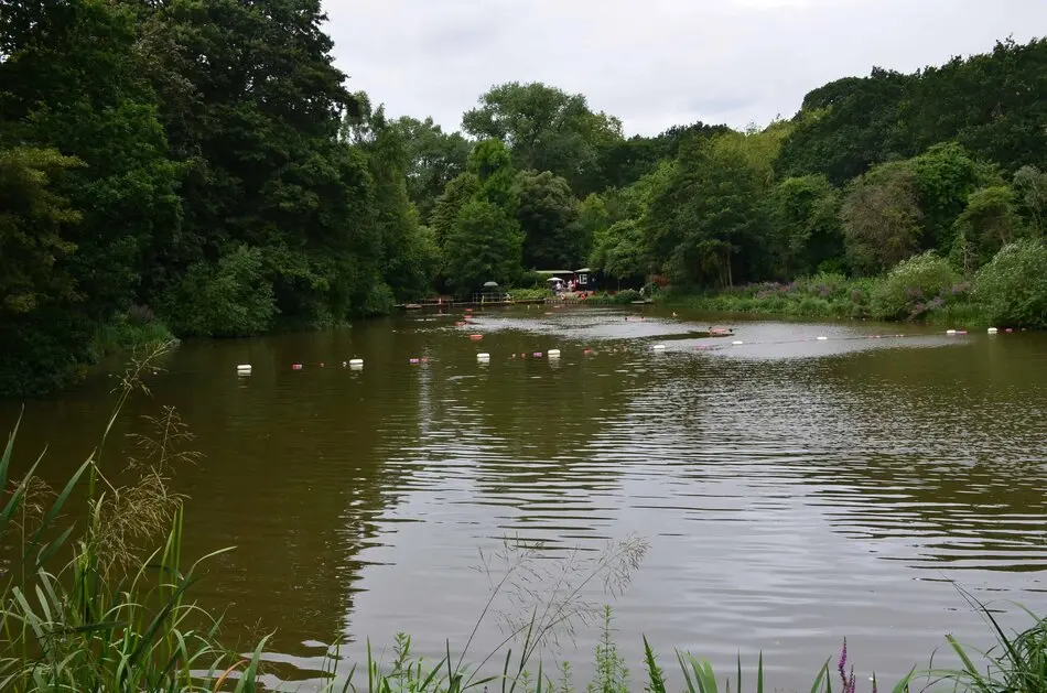 People wild swimming in a Hampstead Heath pond, one of the natural Parks in London