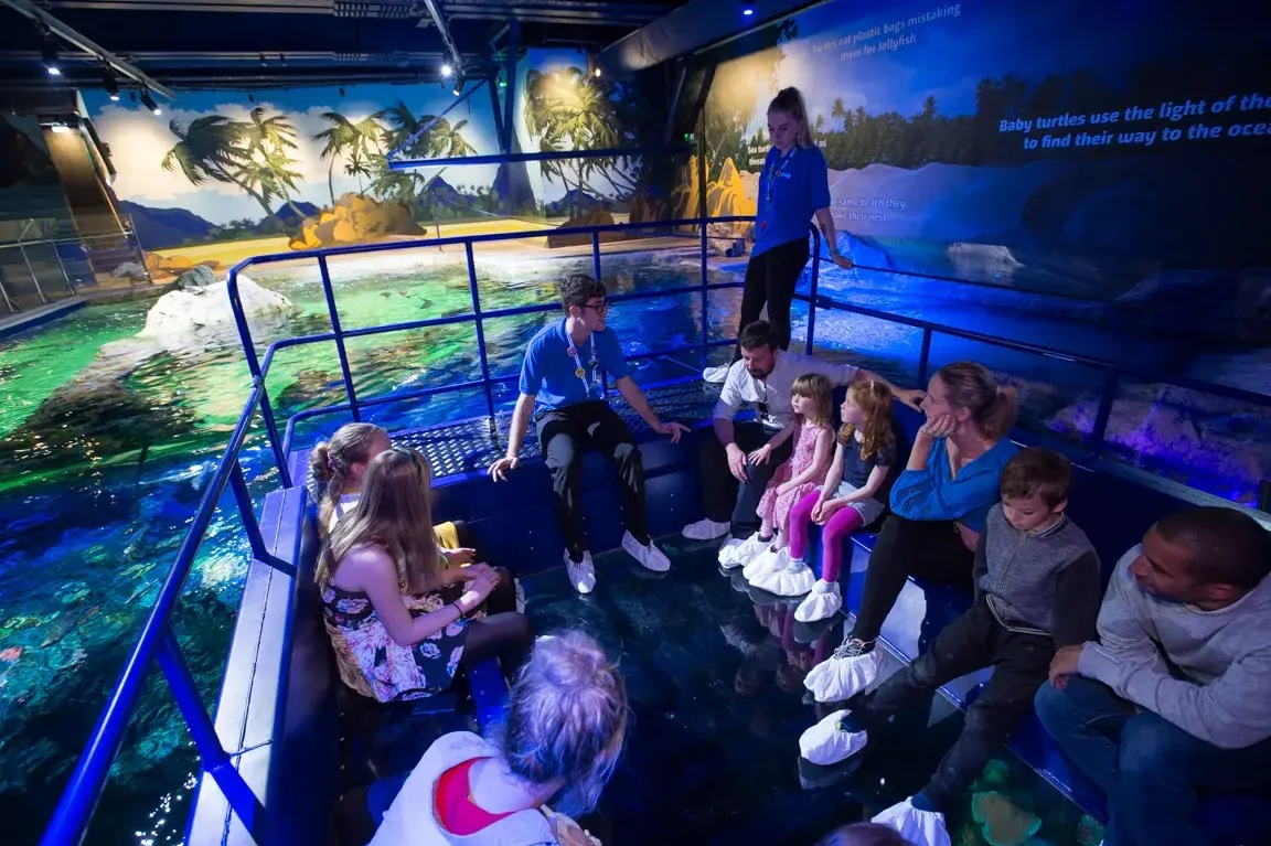 Families enjoying the Glass Bottom Boat experience at SEA LIFE, a fun Thing to Do in Brighton